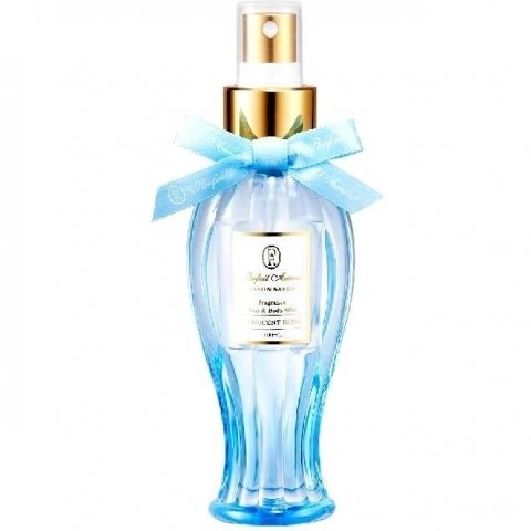 Savon Savon - Innocent Echo